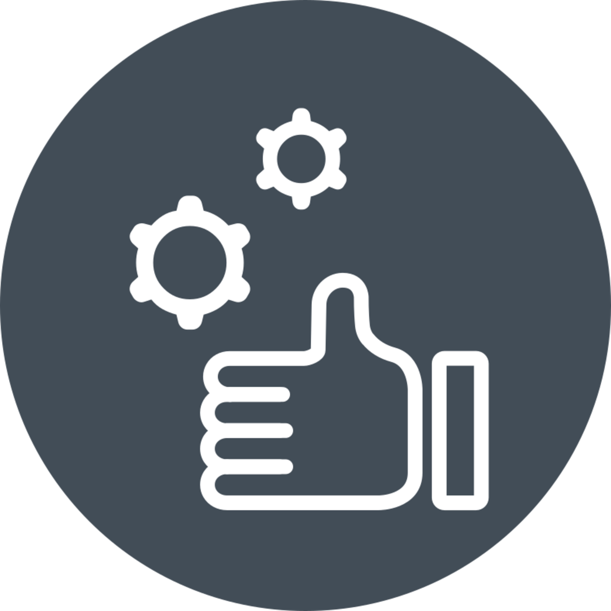 Piktogramm Funktionssicherheit