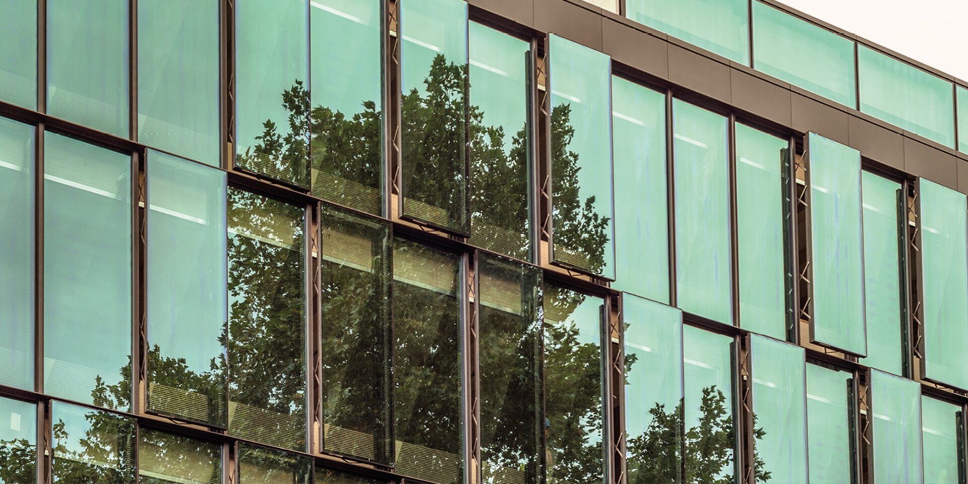 Glasfassade mit grünem Sonnenschutzglas