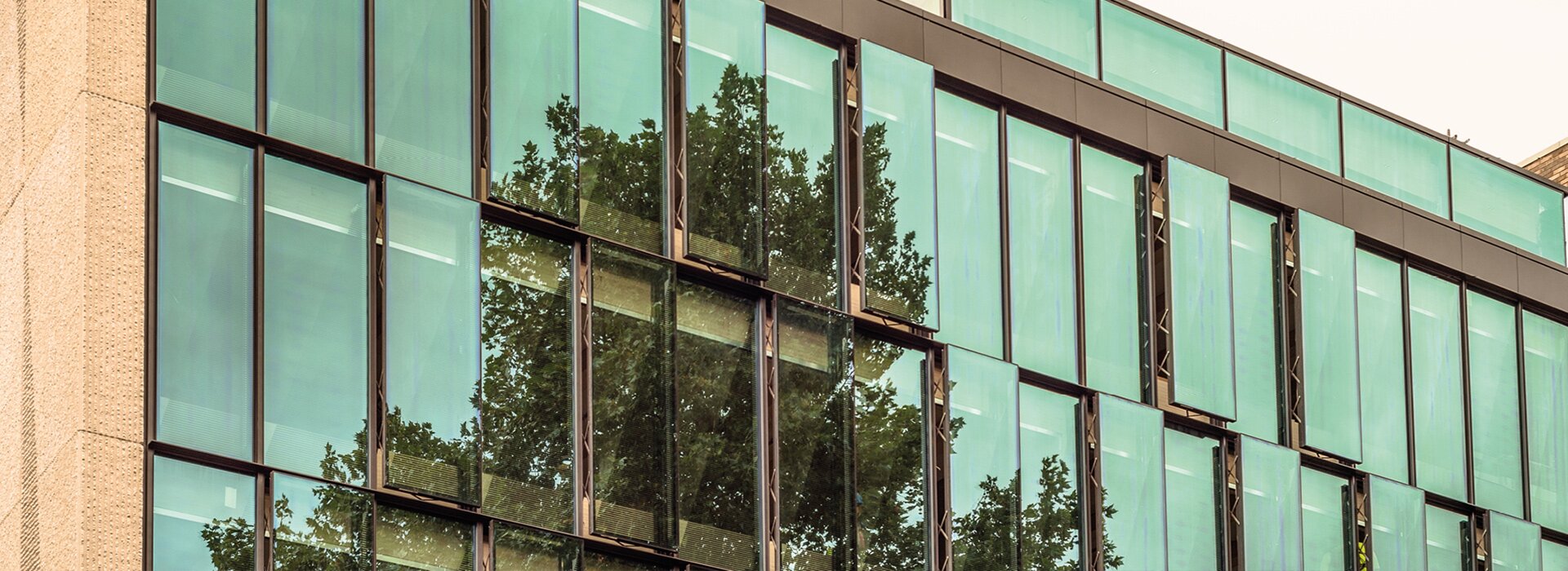 Glasfassade mit grünem Sonnenschutzglas