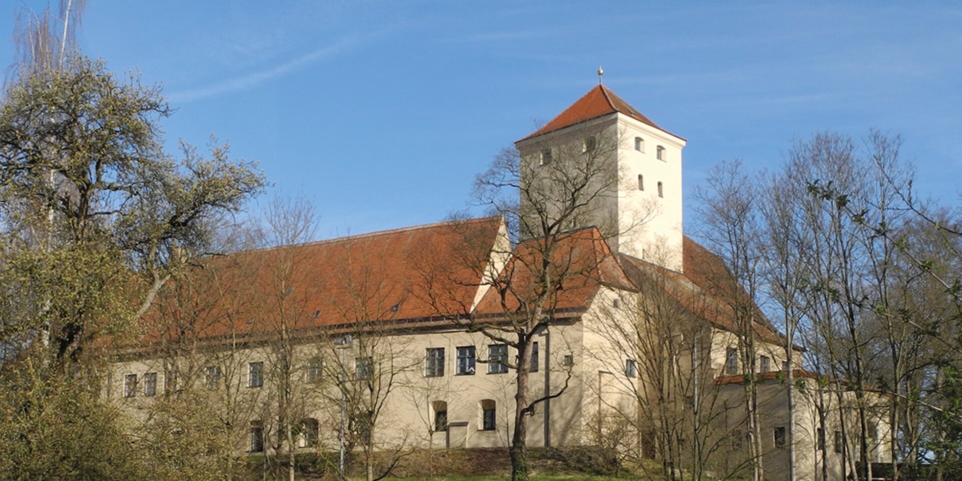Historische Burg mit Turm und Bäumen