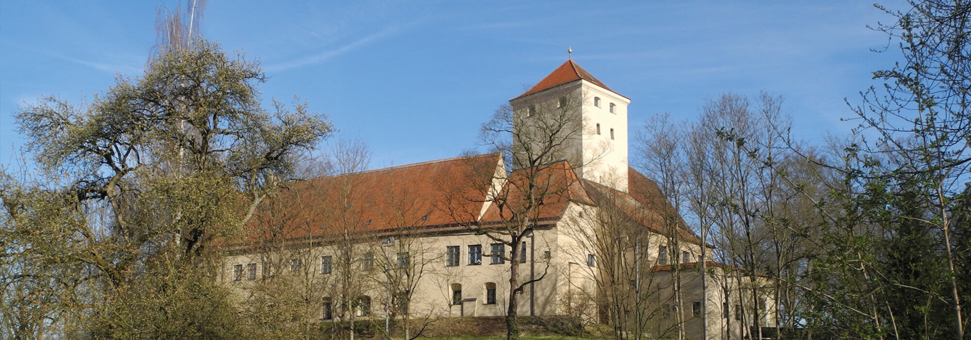 Historische Burg mit Turm und Bäumen